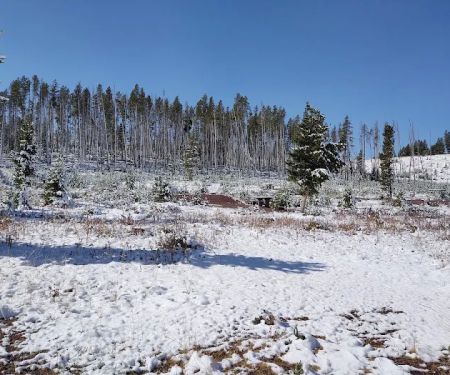Piney Campground and Picnic Area