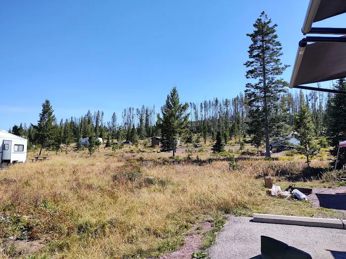 Piney Campground and Picnic Area Picture 2