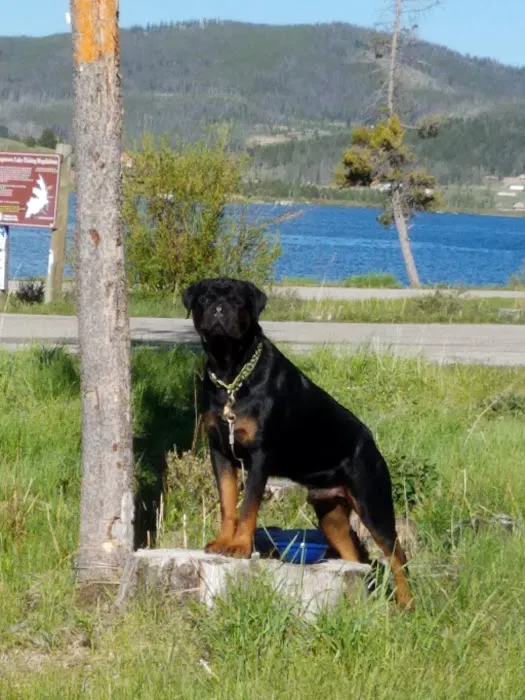 Piney Campground and Picnic Area Picture 9