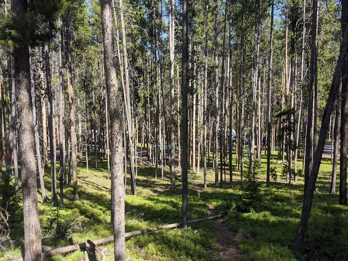 Philipsburg Bay Campground Picture 3