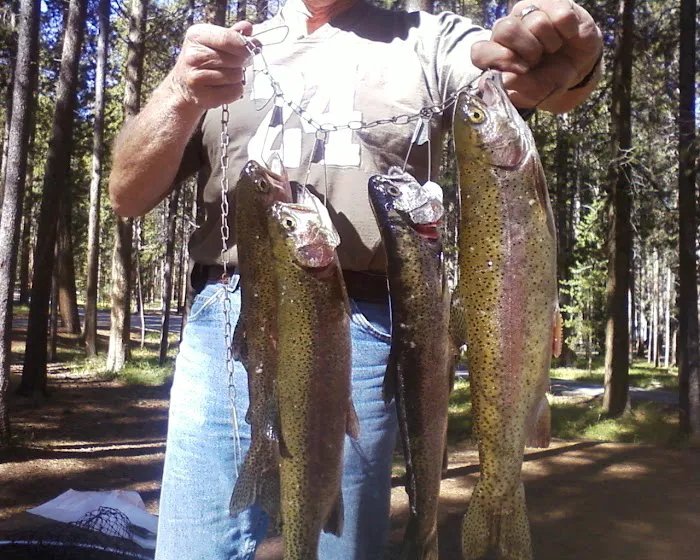 Philipsburg Bay Campground Picture 10