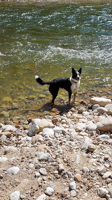 Hannon Memorial FAS Picture 2