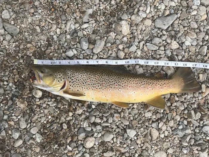 Hannon Memorial FAS Picture 7