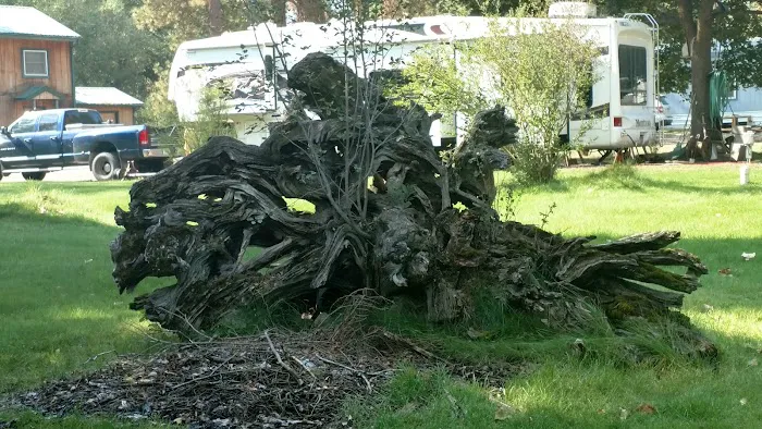 Peaks and Pines RV and Camp Resort Picture 3