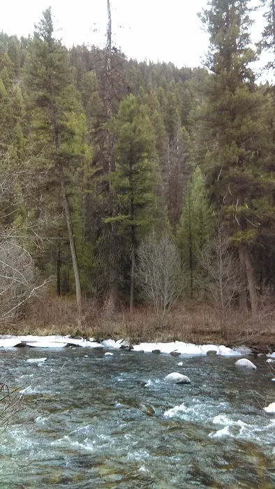 Jennings Camp Campground Picture 1