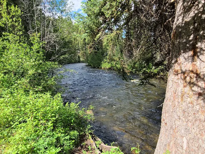 Jennings Camp Campground Picture 7