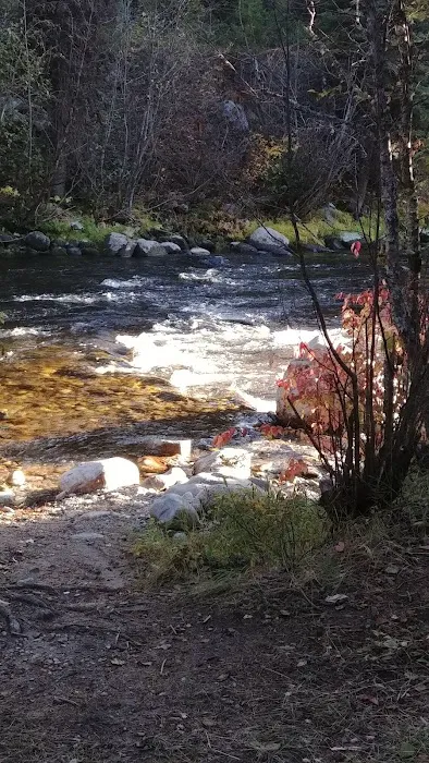 Jennings Camp Campground Picture 6