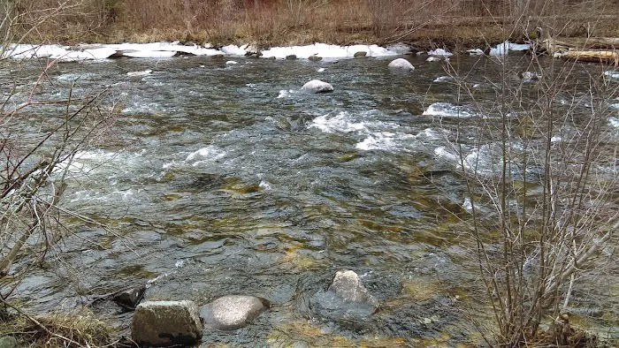 Jennings Camp Campground Picture 5