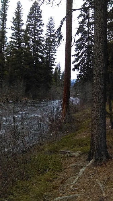 Jennings Camp Campground Picture 8