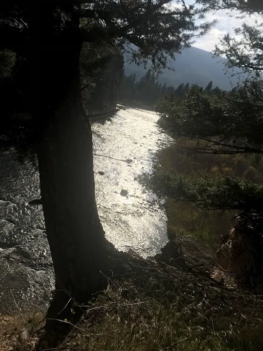 River Junction Campground Picture 2