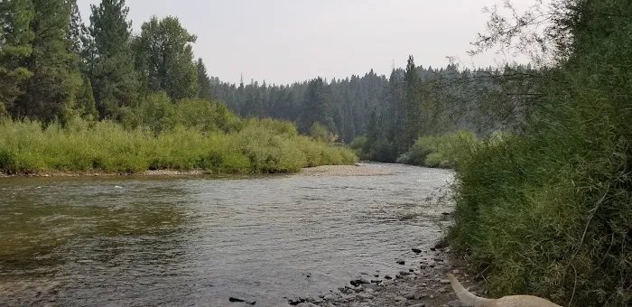 River Junction Campground Picture 6