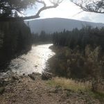 River Junction Campground