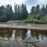 Harry Morgan Campground