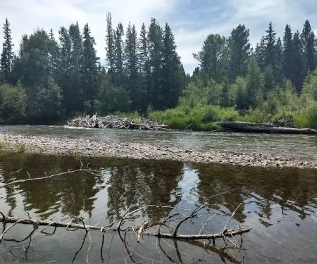 Harry Morgan Campground