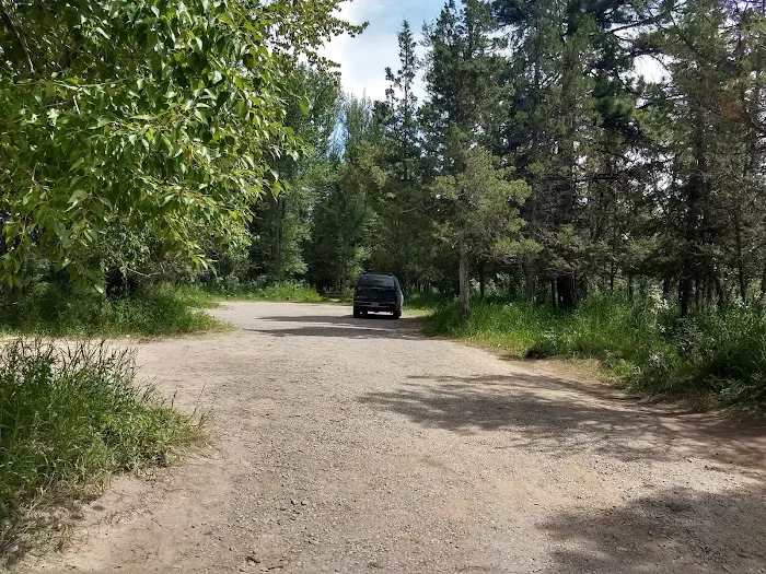 Harry Morgan Campground Picture 4