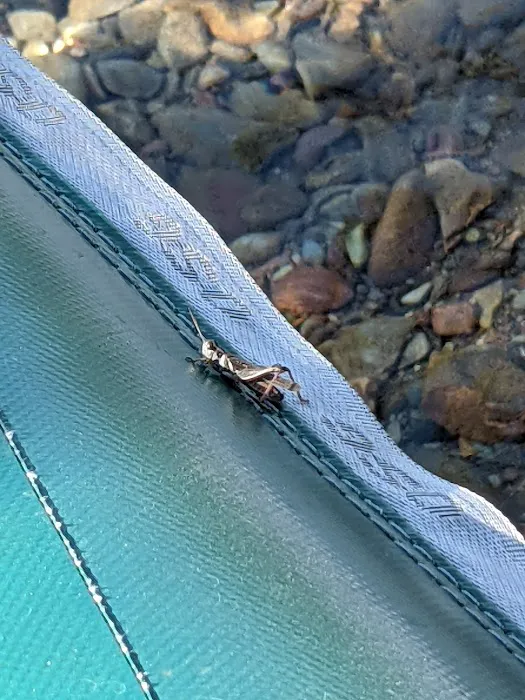 Harry Morgan Campground Picture 3