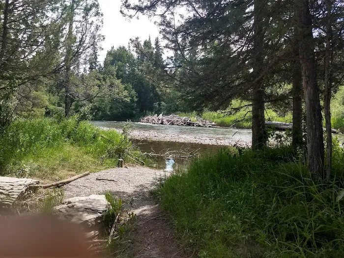 Harry Morgan Campground Picture 9