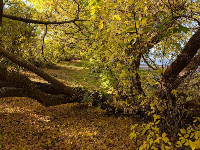 Browns Lake Campground Picture 10