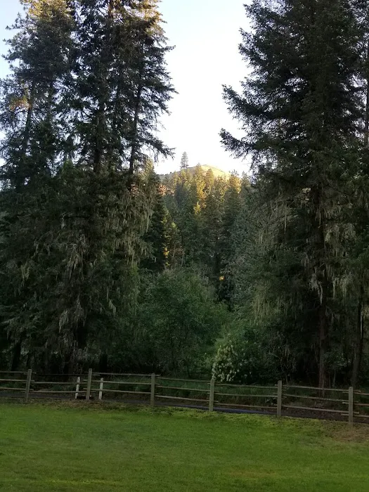 South Fork Campground Picture 4