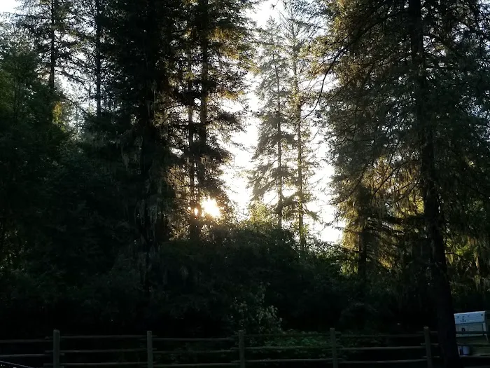 South Fork Campground Picture 1