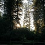 South Fork Campground