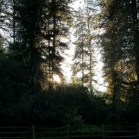 South Fork Campground ico