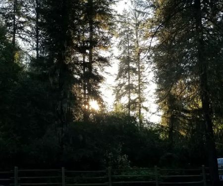 South Fork Campground