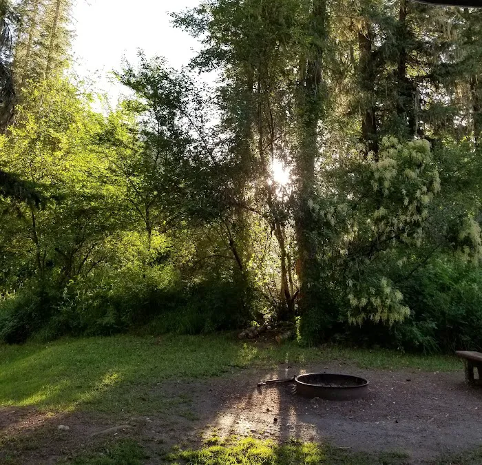 South Fork Campground Picture 2