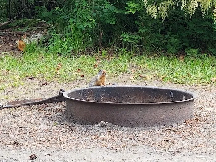 South Fork Campground Picture 3