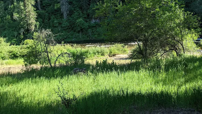 South Fork Campground Picture 10