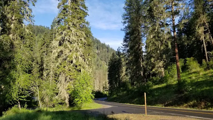 Castle Creek Campground Picture 1