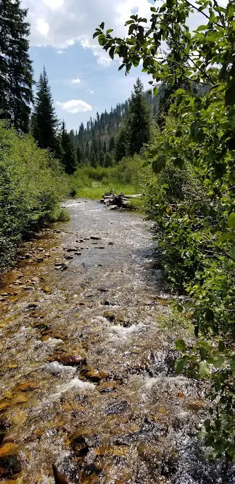 Castle Creek Campground Picture 7