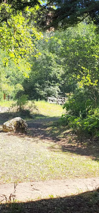 Castle Creek Campground Picture 8