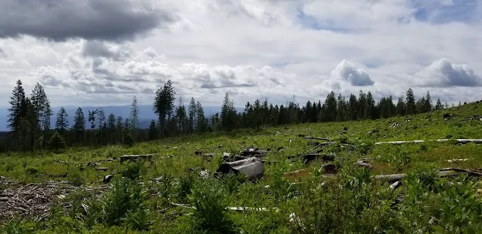 Fish Creek Campground Picture 5