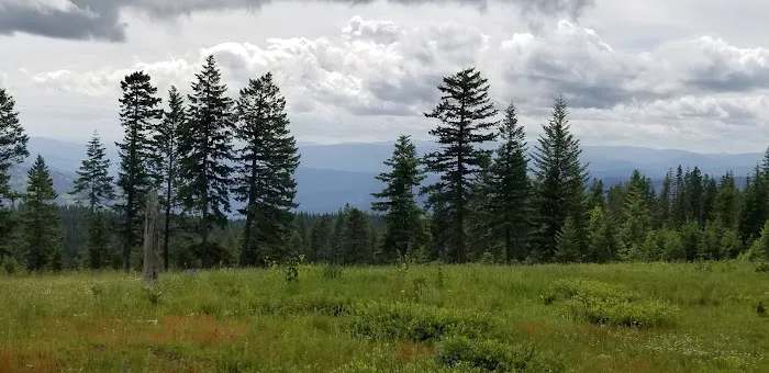 Fish Creek Campground Picture 3