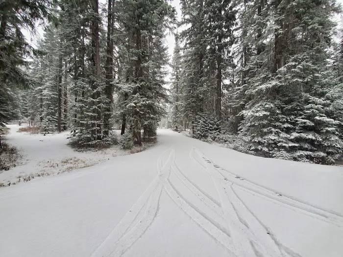 Fish Creek Campground Picture 2