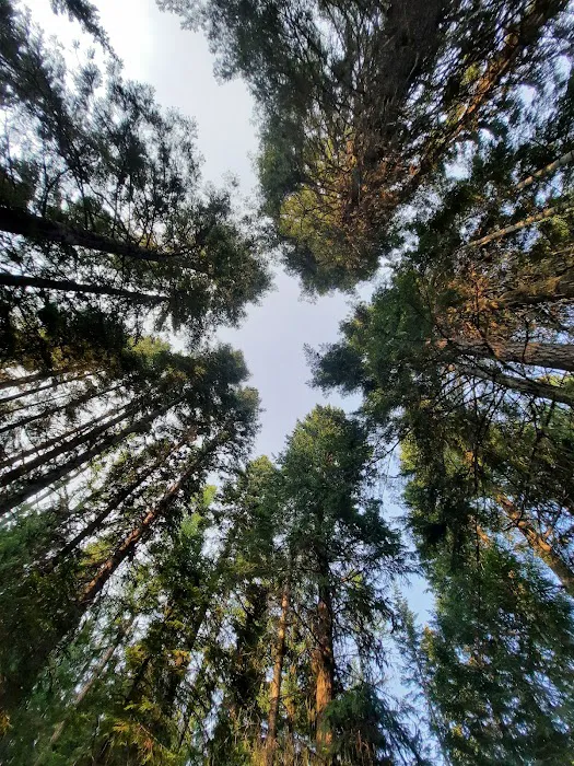 Fish Creek Campground Picture 1