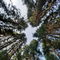 Fish Creek Campground ico