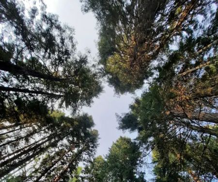 Fish Creek Campground