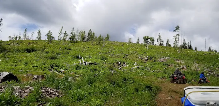 Fish Creek Campground Picture 6