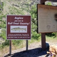 Hammer Creek Campground ico