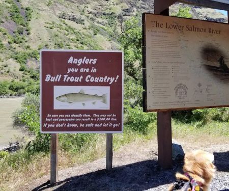 Hammer Creek Campground