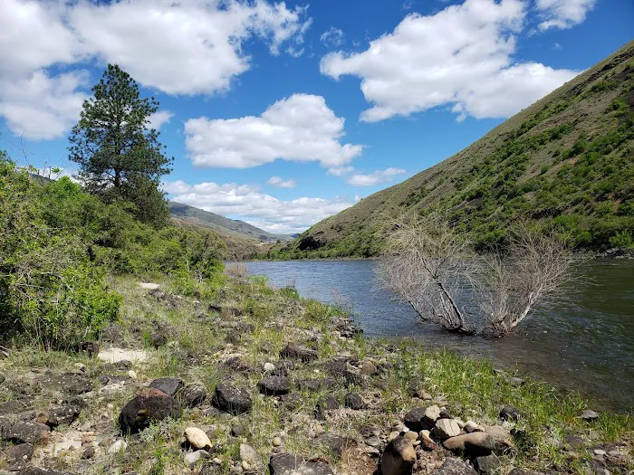 Hammer Creek Campground Picture 8