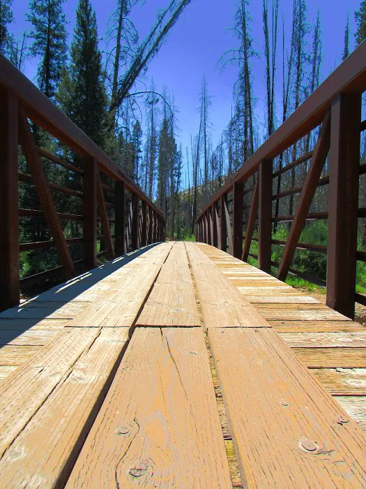 Chinook Campground Picture 9