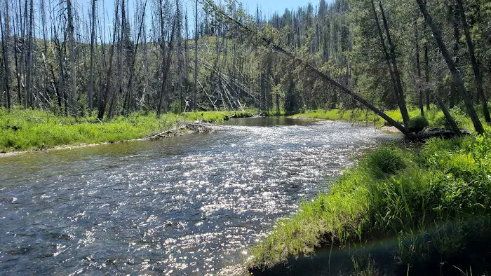 Chinook Campground Picture 1