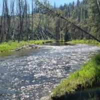 Chinook Campground ico