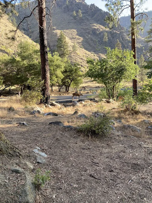 Spring Bar Campground Picture 7