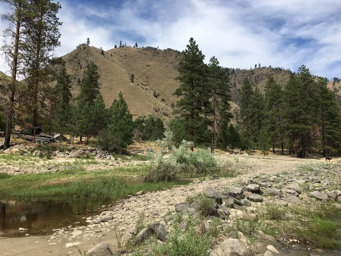Spring Bar Campground Picture 3