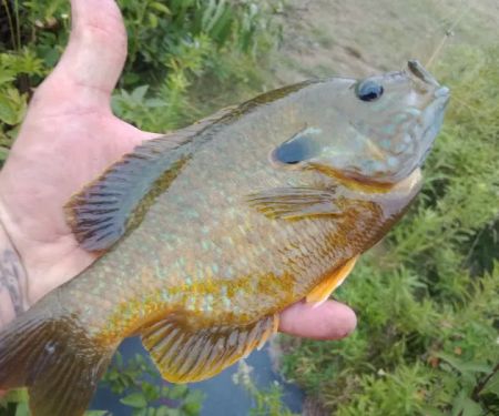 Valley Brook Estates