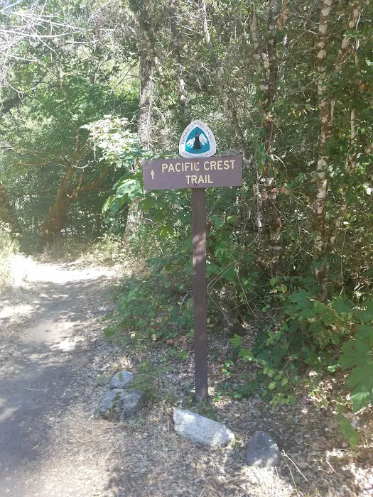 Grider Creek Campground Picture 1